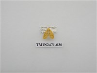 藏品(鉤弧紋豔苔蛾)的圖片